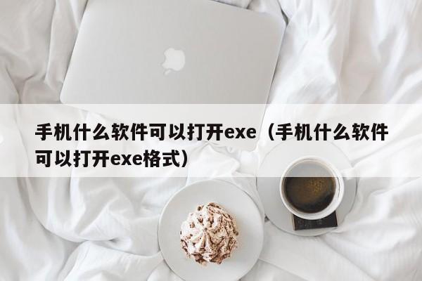 手机什么软件可以打开exe（手机什么软件可以打开exe格式）