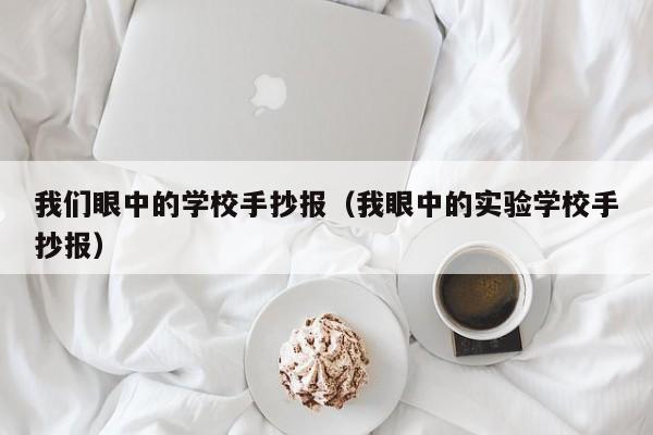 我们眼中的学校手抄报（我眼中的实验学校手抄报）