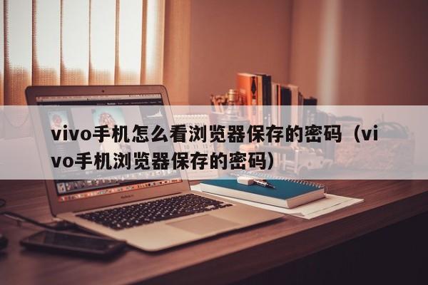 vivo手机怎么看浏览器保存的密码（vivo手机浏览器保存的密码）