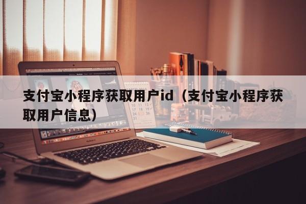 支付宝小程序获取用户id（支付宝小程序获取用户信息）