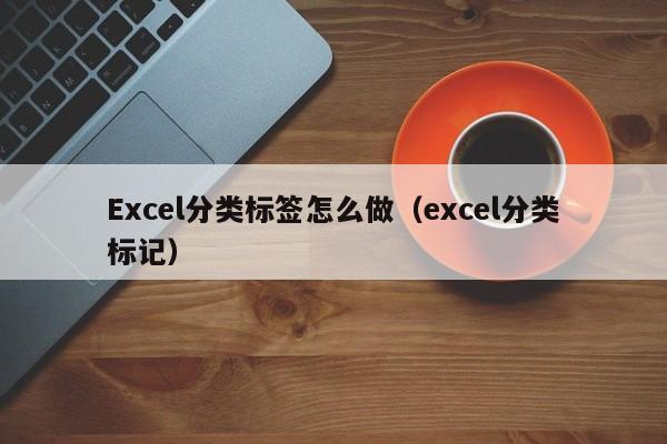 Excel分类标签怎么做（excel分类标记）