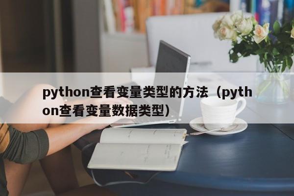 python查看变量类型的方法（python查看变量数据类型）