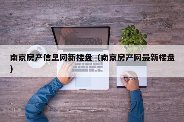 南京房产信息网新楼盘（南京房产网最新楼盘）