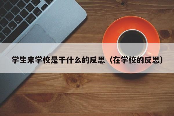 学生来学校是干什么的反思（在学校的反思）