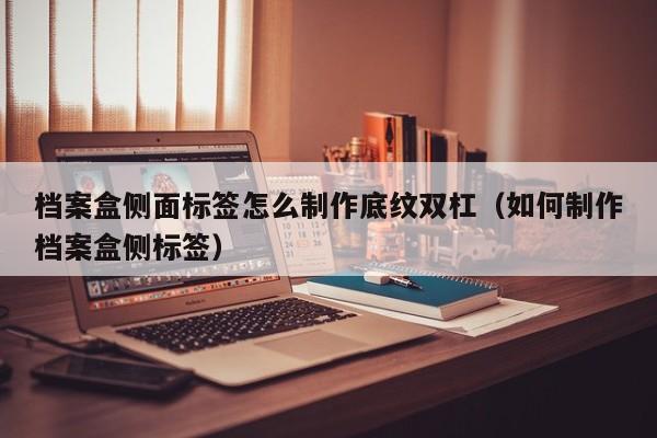 档案盒侧面标签怎么制作底纹双杠（如何制作档案盒侧标签）