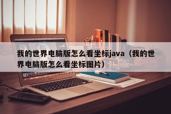 我的世界电脑版怎么看坐标java（我的世界电脑版怎么看坐标图片）